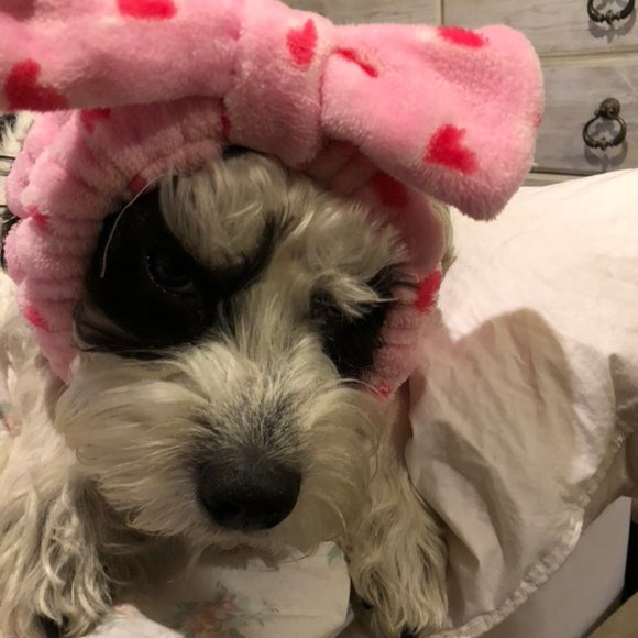 Meet your Posher, Savannagh - Picture 2 of 5